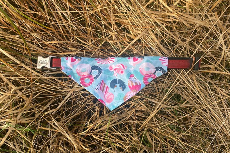 Skip The Pet Store Diy Dog Bandana Magic How To Make Dog Bandana Sew - cur7t5z